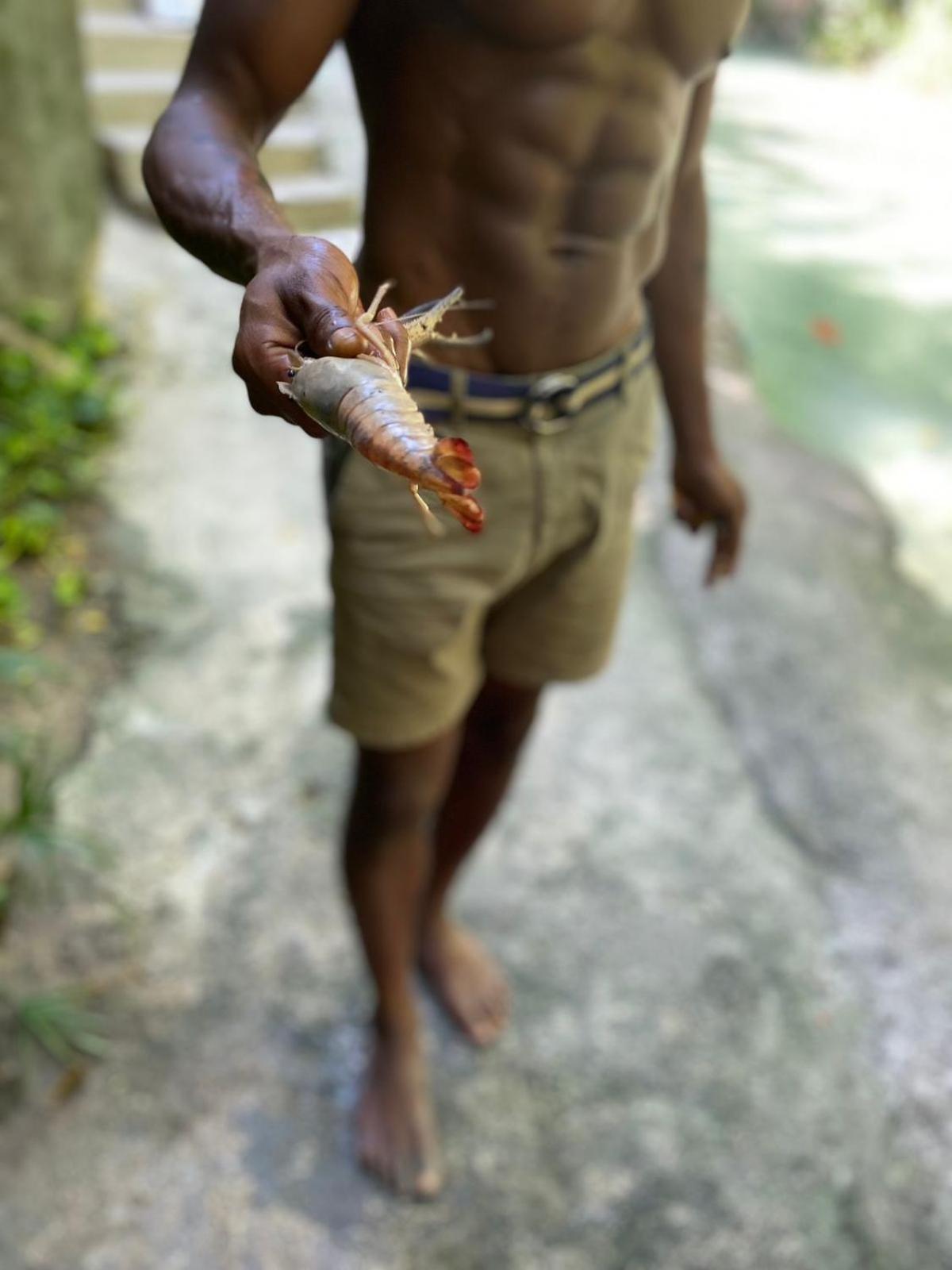 Homestay Idilio Escape Ocho Rios