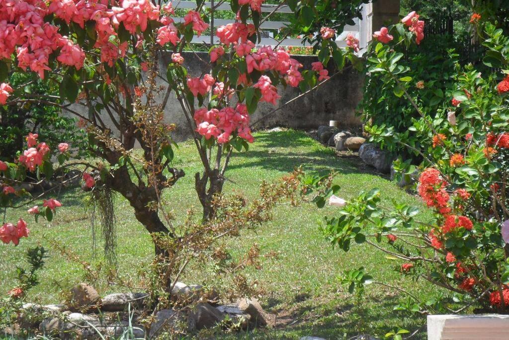 Idilio Escape Homestay *